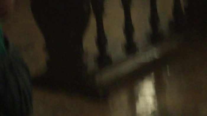 Demi Lovato Meet and Greet 11_19_youtube_original 0042