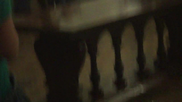 Demi Lovato Meet and Greet 11_19_youtube_original 0088