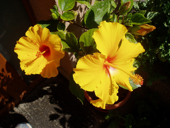 P1010577