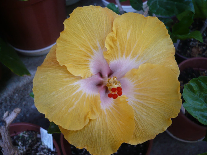 P1140493