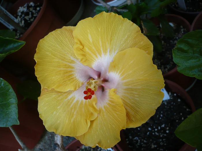 P1140494