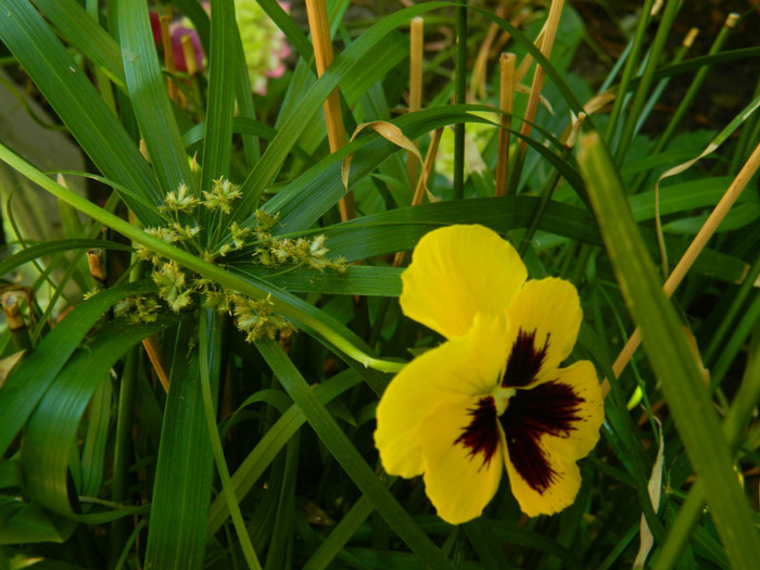 DSCN8180