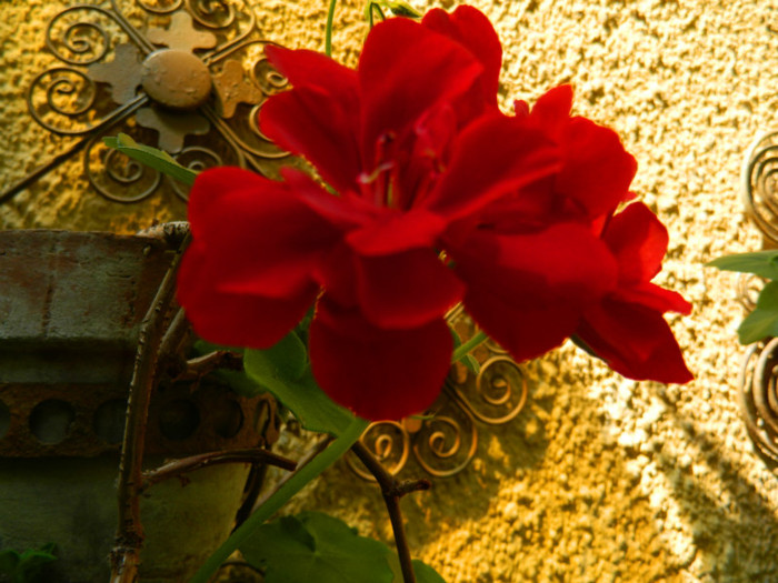 DSCN8206