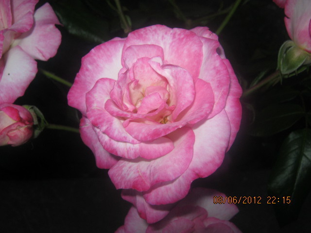 Picture 001