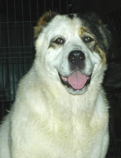 Bayra 3; 1 an si 7 luni
