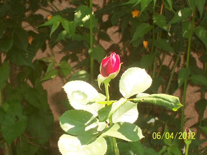 100_4310 - 1_0-Contact