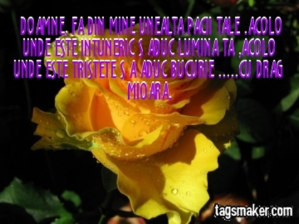  - VIATA IUBIRE SI PRIETENIE  1