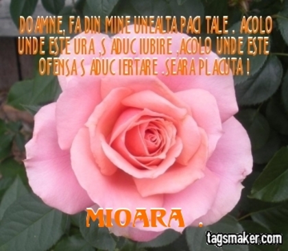  - VIATA IUBIRE SI PRIETENIE  1