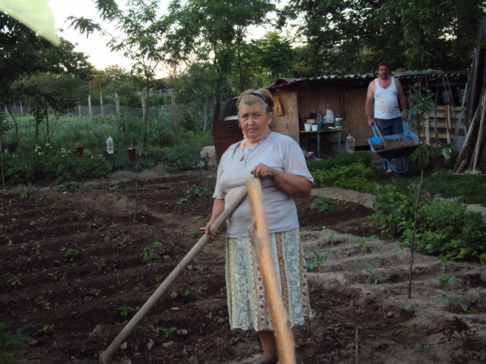DSC00592 - CURTEA si gradina 2012