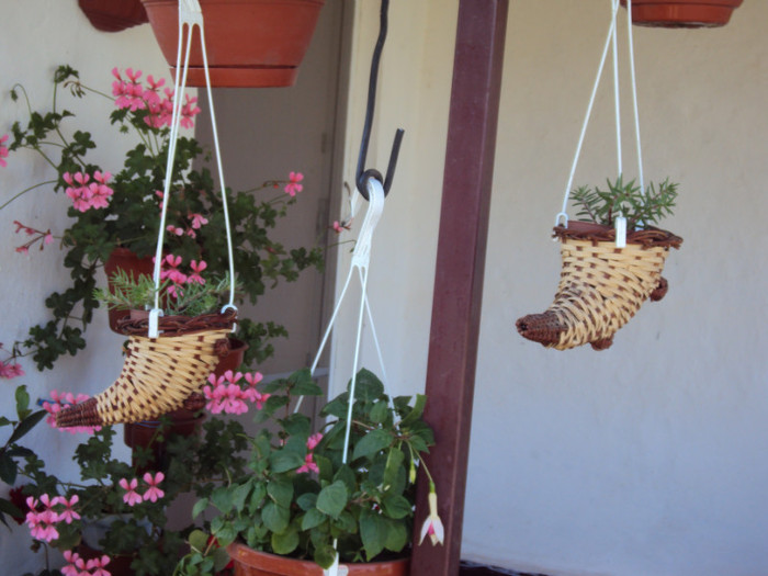 DSC00647 - CURTEA si gradina 2012