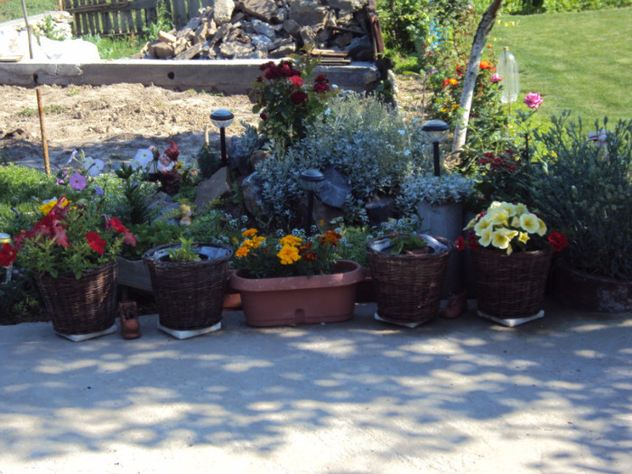 DSC00659