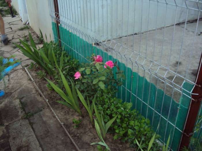 DSC00577