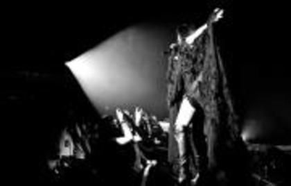 295121_10150785455352433_395567727_a - d-america