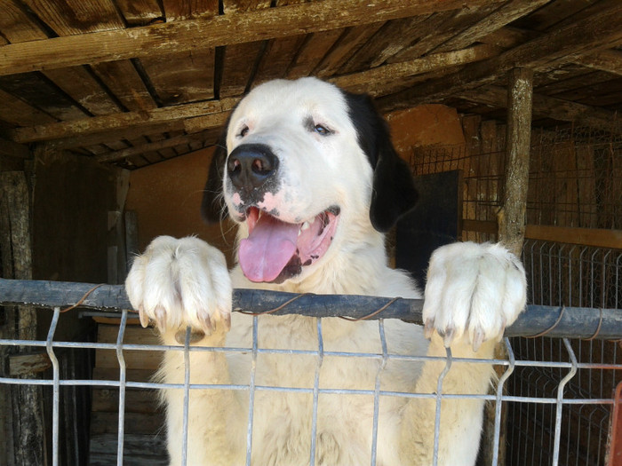 URSU LA 1 ANI SI 4 LUNI