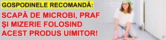 h2omop - Gabriela Cristea Toader