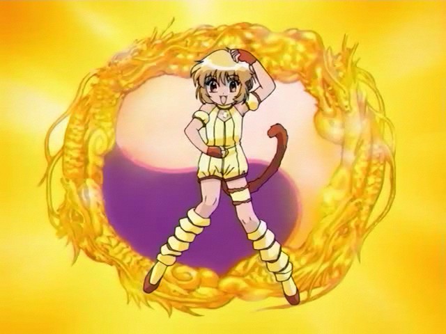 purinfinaltransformacao