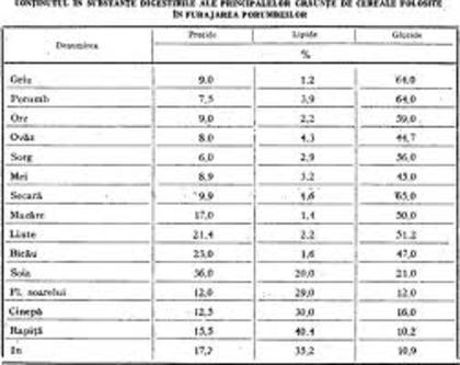 tabel cu clasarile porumbeilor meii - Porumbei buni CLS