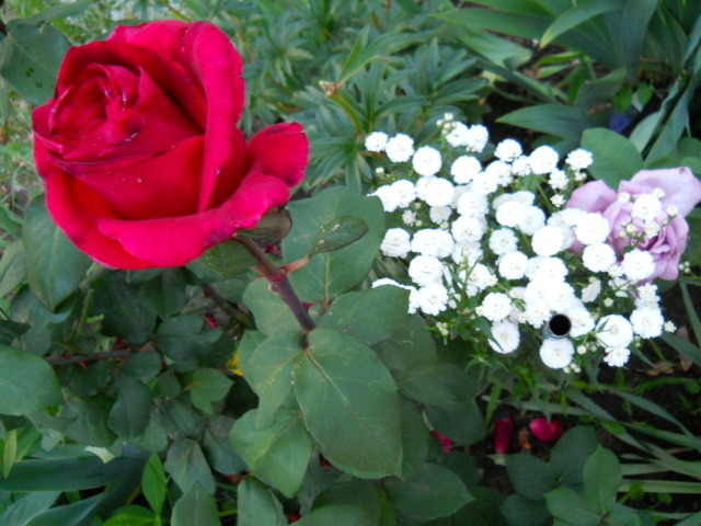 DSCN3860