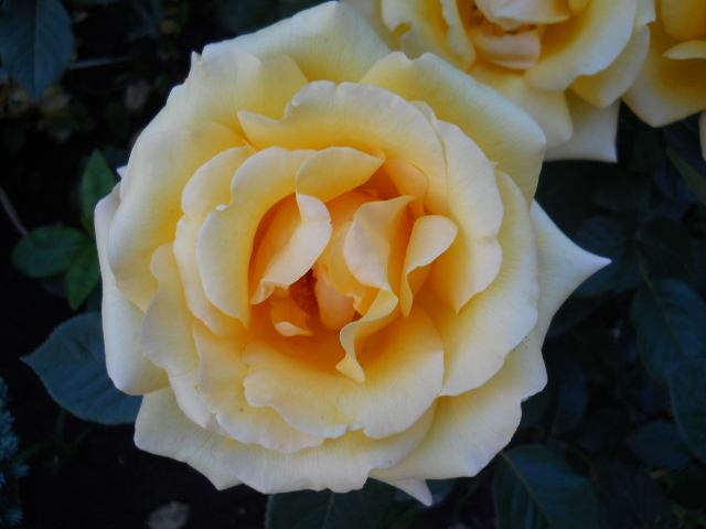 DSCN3855