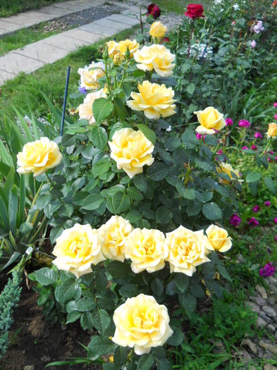 DSCN3882