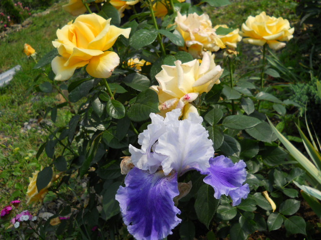 DSCN3901