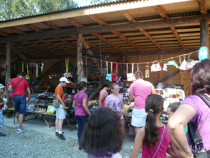 P1400229 - 2012 - Excursie 9 iunie Visina si Visina Noua