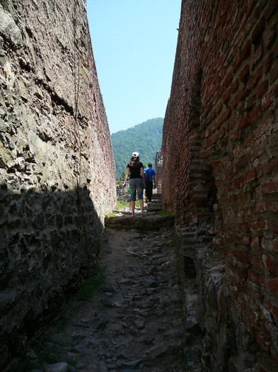 P1400389