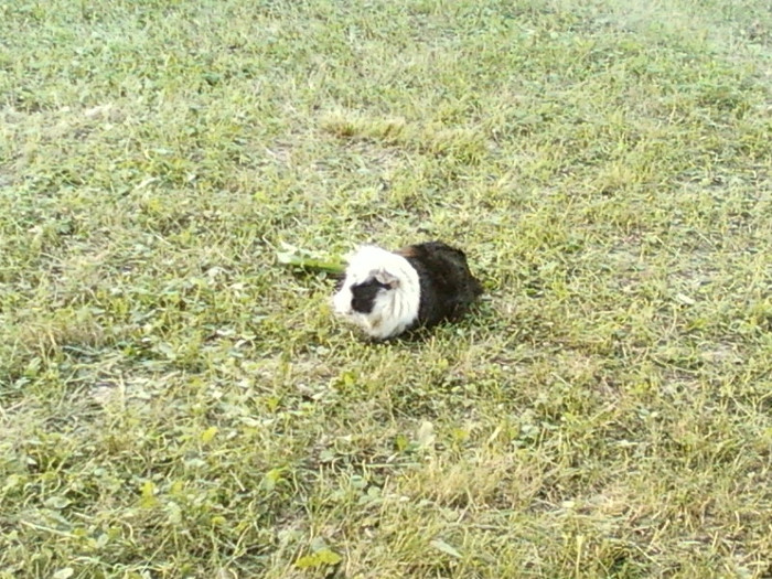 sunny beach, bulgaria-2012 098