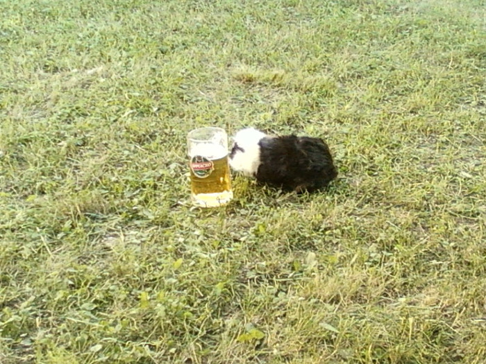 sunny beach, bulgaria-2012 099