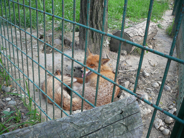 P1400604