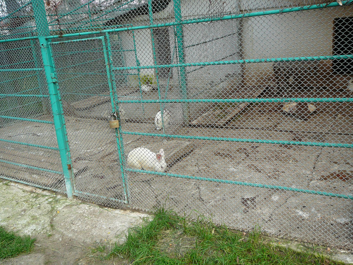 P1400606