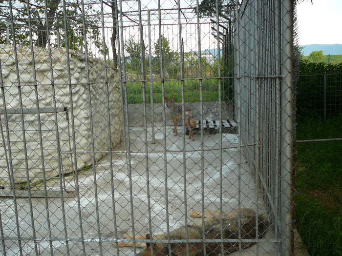 P1400608