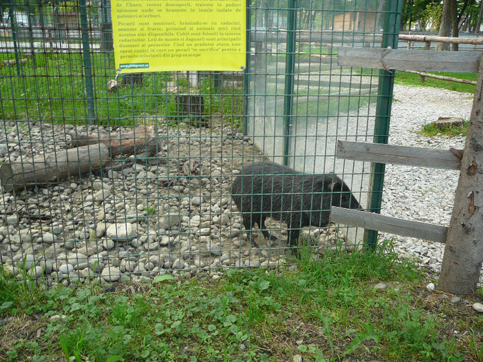 P1400610