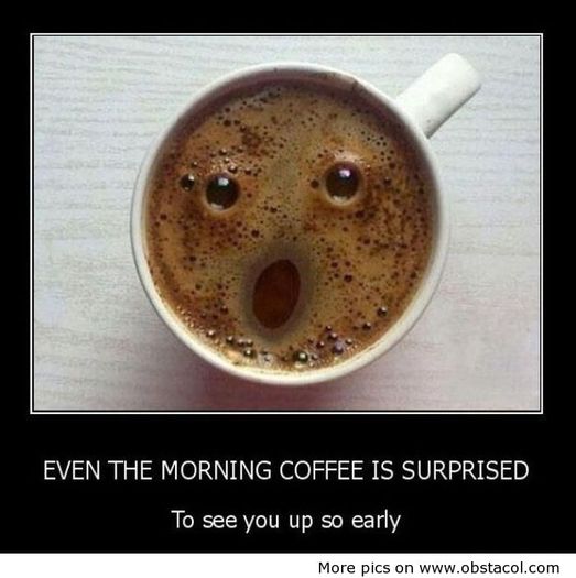 Even-the-morning-coffee-is-Surprised - funny images