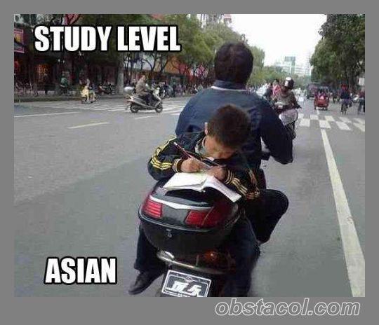 Study-Level-Asian - funny images