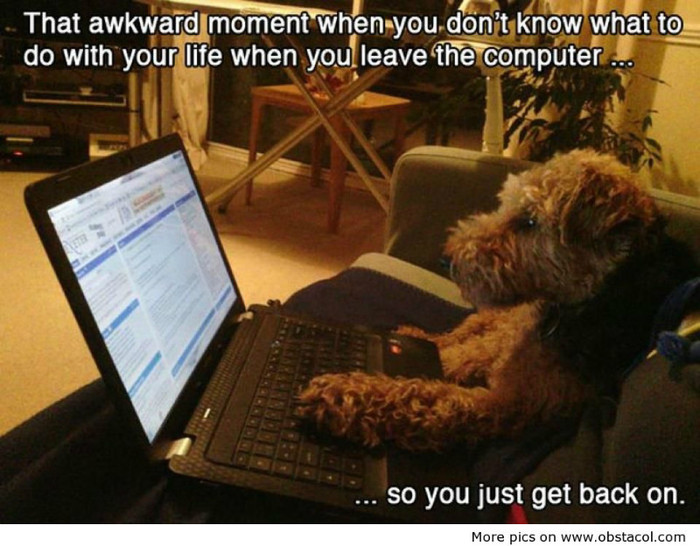What-you-do-with-your-life-when-you-leave-the-computer - funny images