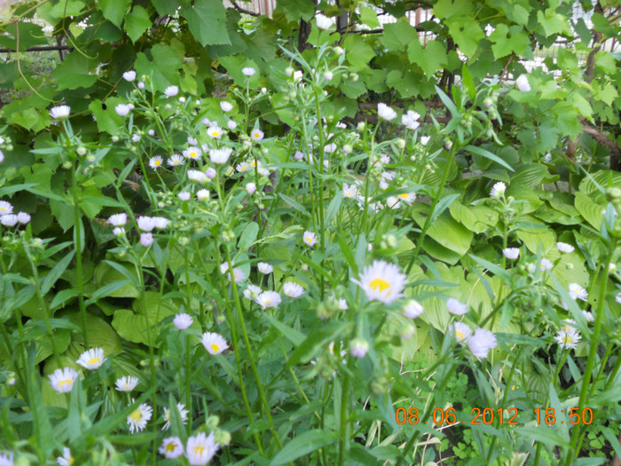 DSCN1357