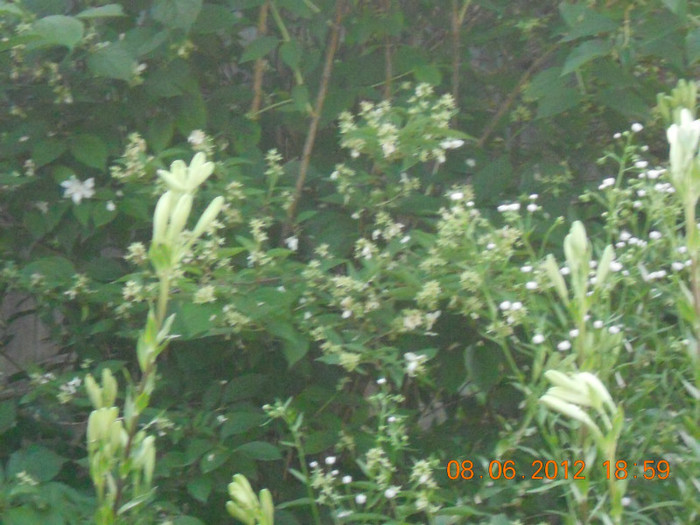 DSCN1366