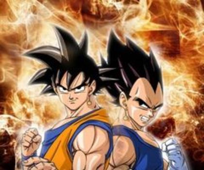 Anime_20101223_Goku-And-Vegeta-330x330_thumb