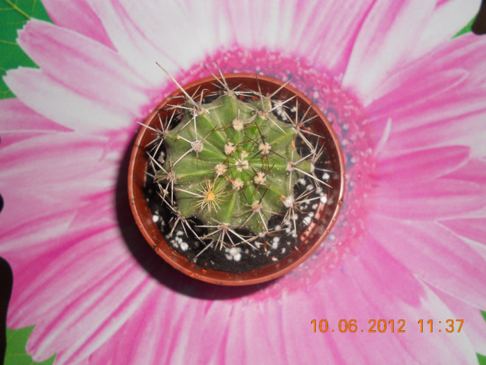 DSCN1375
