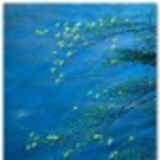 aprilie-poza-2-42448x75