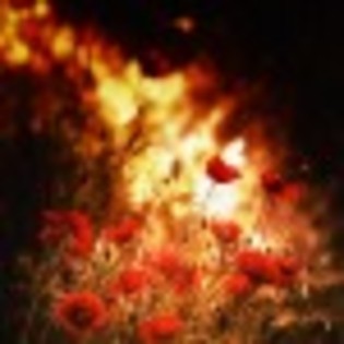 dellirium-63070x75