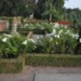 palatul-brancovenesc-poza-18-66883x75