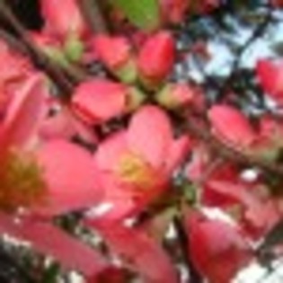 photos-poza-7-39703x75