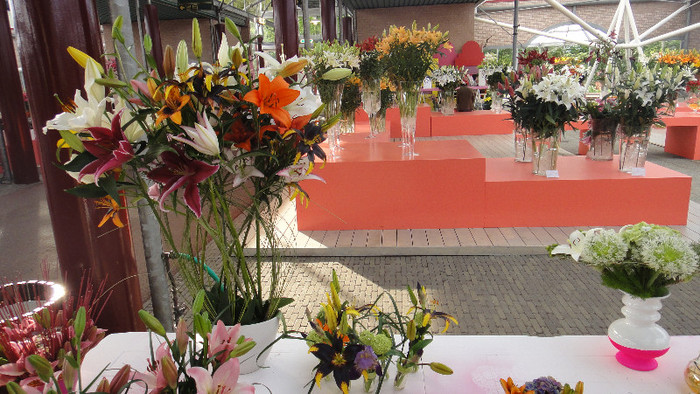 DSC00658 - Expozitie de crini