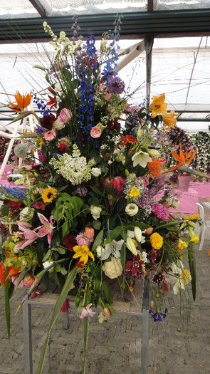 DSC00682 - Expozitie de crini