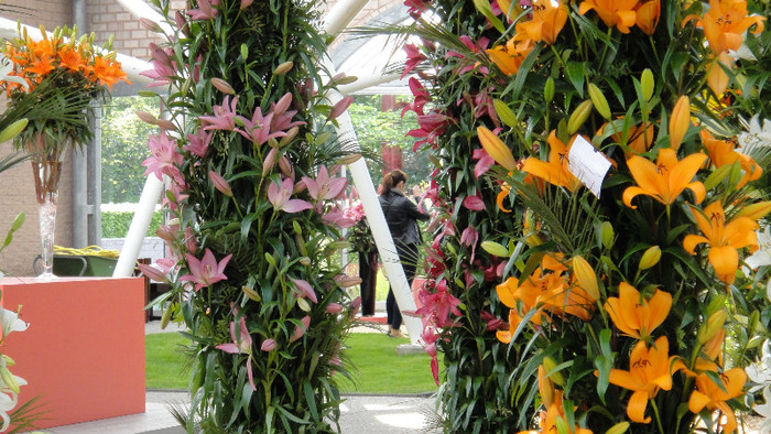 DSC00700 - Expozitie de crini