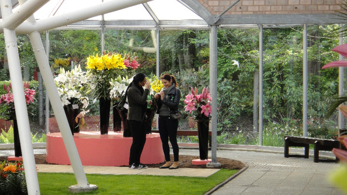 DSC00701 - Expozitie de crini