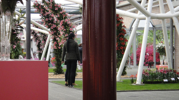 DSC00703 - Expozitie de crini