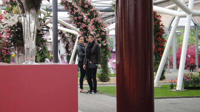 DSC00704 - Expozitie de crini